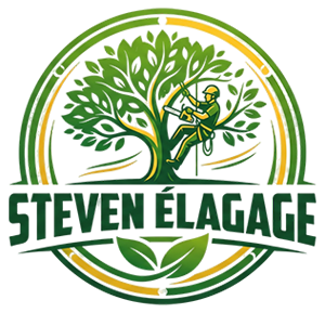 activite-steven-elagage